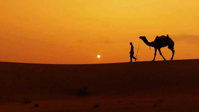 Cameleers, camel Drivers at sunset. Thar desert on sunset Jaisalmer, Rajasthan, India.