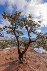 Fototapeta na wymiar Scenis Witner Landscape in Sedona Arizona