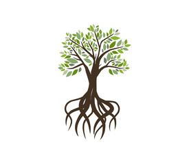 Obraz premium tree and roots logo vector illustrations