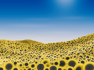 Sonnenblumen Feld mit Himmel und Sonne