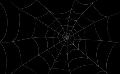 Spider web banner. Scary spiderweb illustration. Halloween template decoration for banners and photos.
