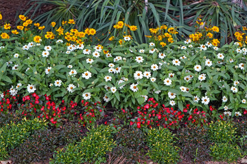 City park garden