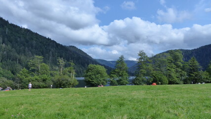 Nature dans les Vosges