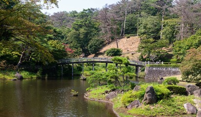 日本庭園の橋（夏の風景）
