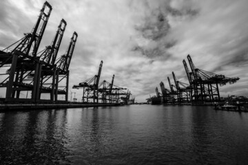Hamburg Container Hafen