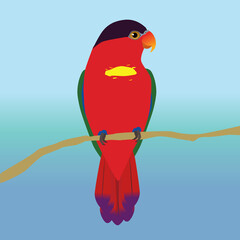 Purple-naped lory vector illustration. The bird is perched on a brown branch. You see the bird on his belly and he holds his head so that you can see an eye. Blue gradient background.