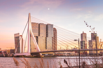 Cityscape _ Rotterdam