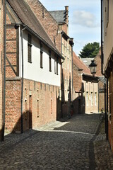 Rue à pavés entre les maisons historiques du Grand Béguinage de Louvain (Leuven)