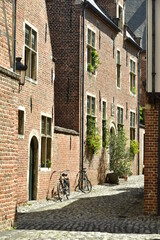 Fototapeta na wymiar Rue à pavés entre les maisons historiques du Grand Béguinage de Louvain (Leuven)