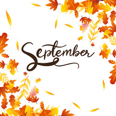 September hand drawing calligraphy with leaf in Autumn, frame leaf for content online or web, banner and template, Simple cartoon flat style. illustration Vector EPS 10