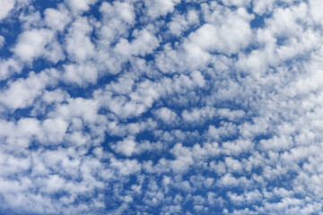 Beautiful layered cumulus clouds on a blue sky background. Stratocumulus clouds