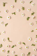 Abstract floral aesthetic background. Round floral frame wreath of colourful chamomile flower buds on neutral peachy background with blank copy space mockup. Beautiful flowers and petals template