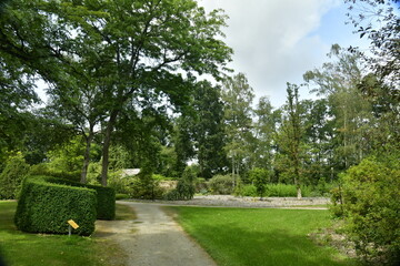 Chemin sous la végétation luxuriante de différents spécimens à l'arboretum de Bokrijk au Limbourg 