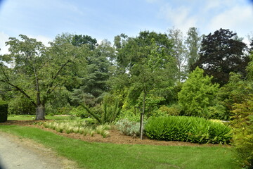 Parterre de plantes à l'arboretum du domaine provincial de Bokrijk au Limbourg
