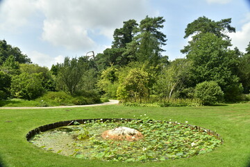 La pièce d'eau circulaire couverte de nénuphars au milieu d'une pelouse à l'arboretum de Bokrijk au Limbourg 