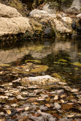 Fototapeta na wymiar Deep Water Pool At Smith Spring In Guadalupe Mountains