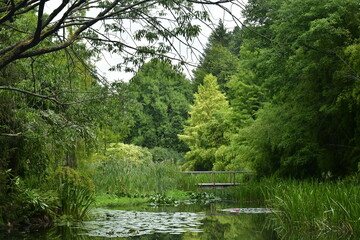 La végétation luxuriante des arbres et arbustes à l'arboretum de Bokrijk au Limbourg