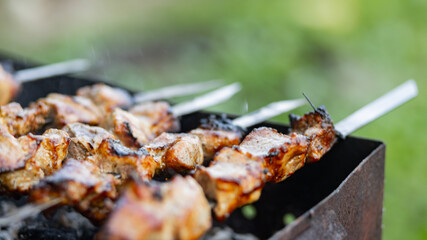 Barbecue meat on skewers. Cooking shashlik on the mangal in nature. Grilled kebab cooking on metal...