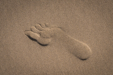 Fototapeta na wymiar footprint on a sandy beach