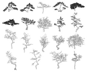 Realistic trees isolated on white background set. Collection of spruce trees, pine, bush firs and other trees. Drawing from real trees with twigs and branches. Vector.