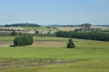 Obraz premium Arbres et bois isolés entre les prairies et champs près du bourg de Champagne au Périgord Vert