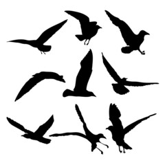 Silhouette of flying seagulls birds on white background. Inspirational sail body flash tattoo ink of sea gulls. Vector.