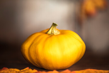 ripe pumpkin and autumn leaves on wooden table on brown background with copy space decorative colorful design