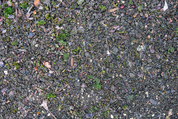 Texture of black old asphalt and pebbles