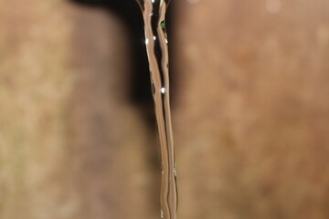 Water flowing out of the pipe. No one likes to hear the drip, drip, drip of a leaking faucet. At first glance, it may seem like a simple leak coming from under your kitchen sink.