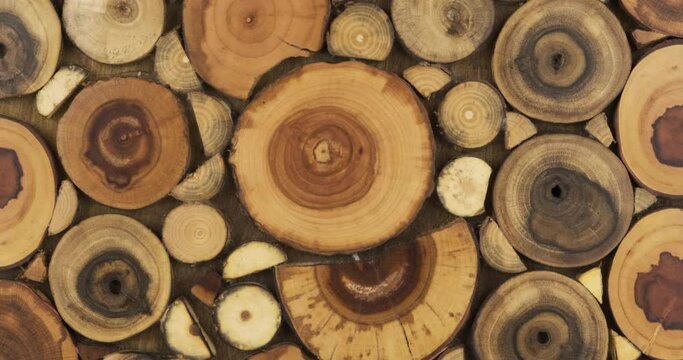 Rotation of a decorative panel made from cuts of tree branches. Wooden crafts.