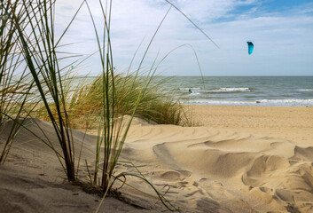 Fototapeta na wymiar Beach with grass and kitesurfer