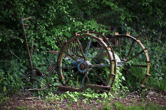 Old forgotten potato harvester in gras