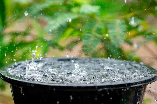 Rain droplets splash on blurred green tree background, rainny on sunny or light of sun on daytime © Ritthichai