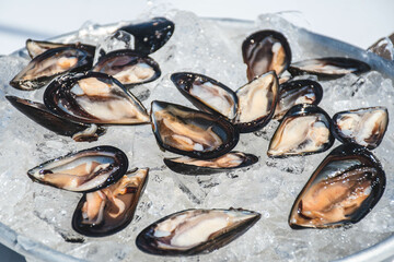 Opened by hand black raw mussels mollusk on the ice ready to eat in a plate in a fish market, sea...