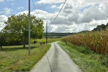 Petite route secondaire de campagne entre les champs, prairies et bois entre les bourg de Champagne et Vendoire au Périgord Vert 