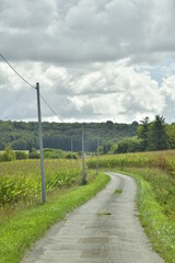 Fototapeta na wymiar Chemin de campagne en bitume entre les champs de maïs sous un ciel nuageux près du bourg de Champagne au Périgord Vert 
