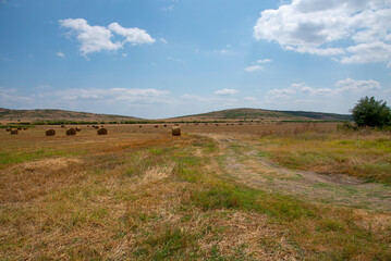 Fototapeta premium Rolled-up hay in a meadow against the background of mountains. A beautiful landscape with hay at the end of summer.