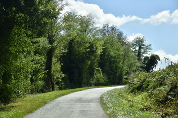 Fototapeta na wymiar Petite route secondaire de campagne entre les champs, prairies et bois entre les bourg de Champagne et Vendoire au Périgord Vert 