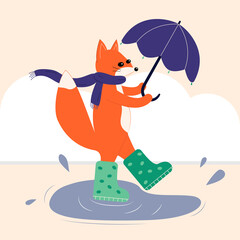 Autumn vector iilustration of red fox with umbrella in rubber boots. Rainy weather. Design for postcard.