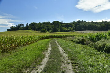 Fototapeta na wymiar Chemin en terre pour le passages des engins agricoles entre les champs aux environs du bourg de Champagne au Périgord Vert 