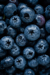 Blaubeeren