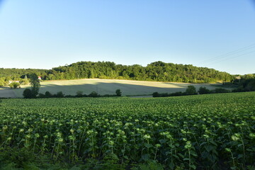 Contraste entre l'ombre et la lumière du soleil couchant sur les paysages ruraux du Bourg de...
