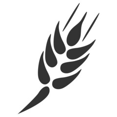 Barley ear vector illustration. Flat illustration iconic design of barley ear, isolated on a white background.