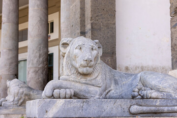 Statue of lion in front of Basilica of San Francesco di Paola, 19th century neoclassical church situated on Piazza del Plebiscito, Naples, Italy