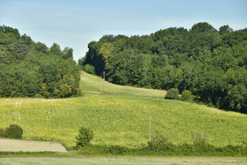 Fototapeta na wymiar Paysage bucolique parsemés de bois ,champs ,prairies et collines au bourg de Champagne au Périgord Vert 