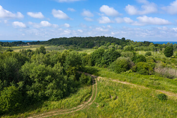 Fototapeta na wymiar Path through summer field and forest near farmland. Aerial view