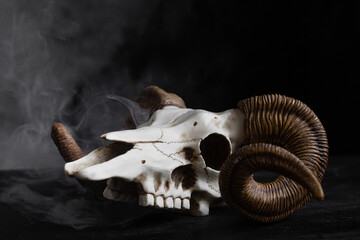 Obraz na płótnie Canvas scary skull with horns on a dark background