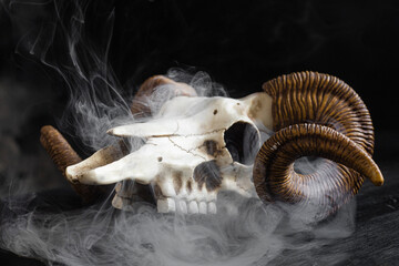 Animal Skull with Horns on a Wooden table in the Smoke Halloween Witch Scene