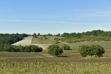 Champs rocailleux parsemé d'arbres par-ci par-là sur les collines à Vendoire au Périgord Vert 