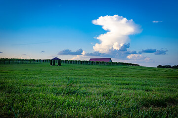 Gazebo in a middle of an agricultural field in front of a vineyard.